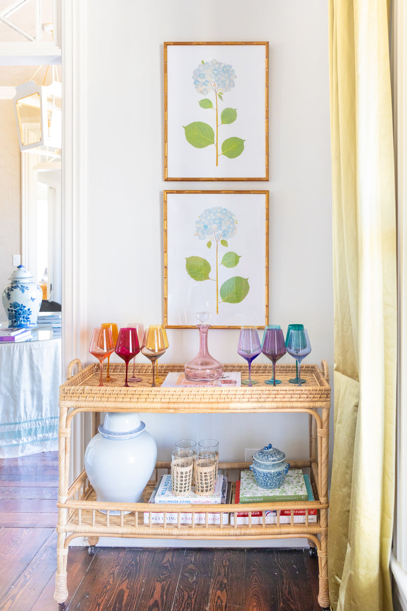 Hydrangea Collection