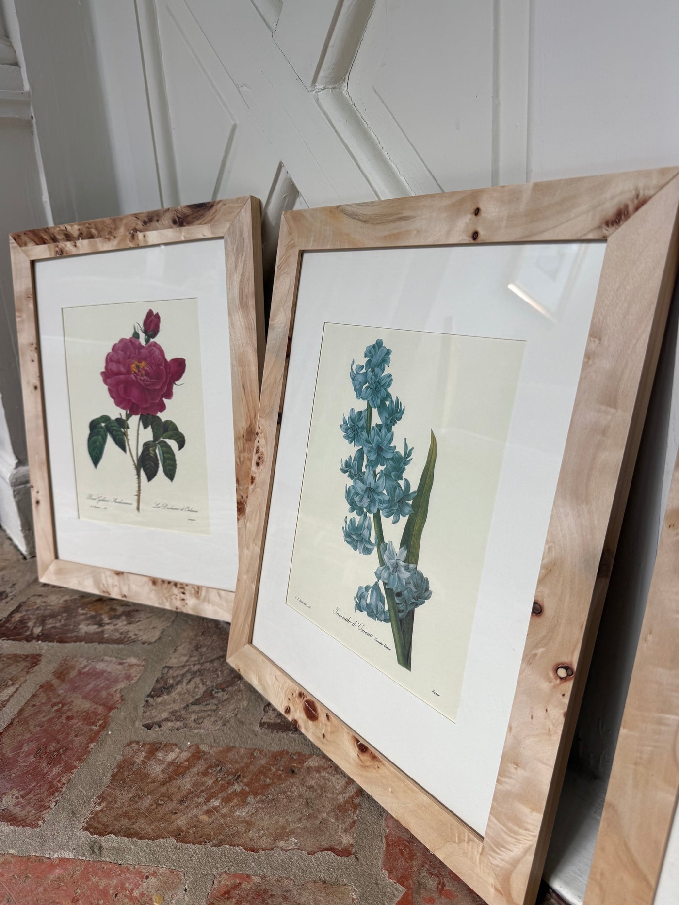 Set of 3 Vintage Burl Wood Framed Botanicals I