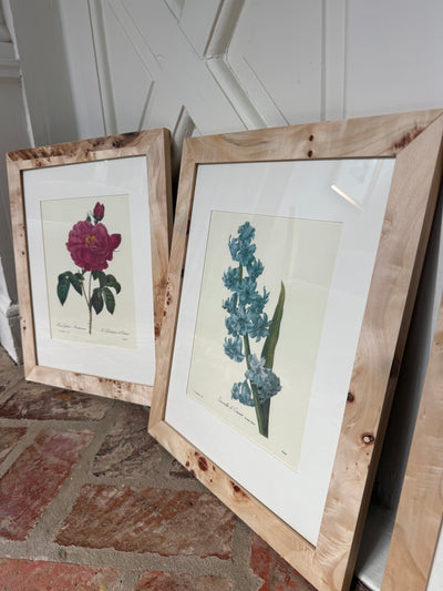Set of 3 Vintage Burl Wood Framed Botanicals I