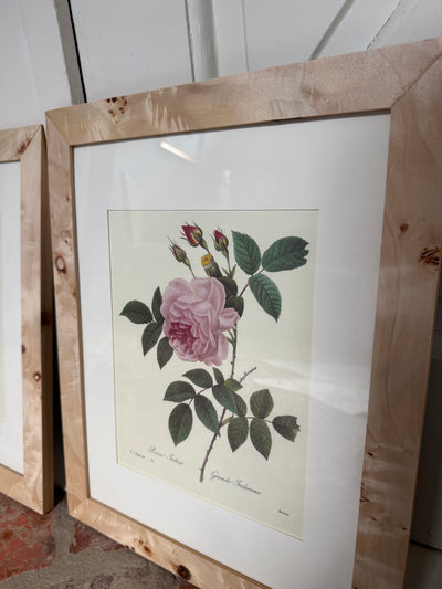 Set of 3 Vintage Burl Wood Framed Botanicals I