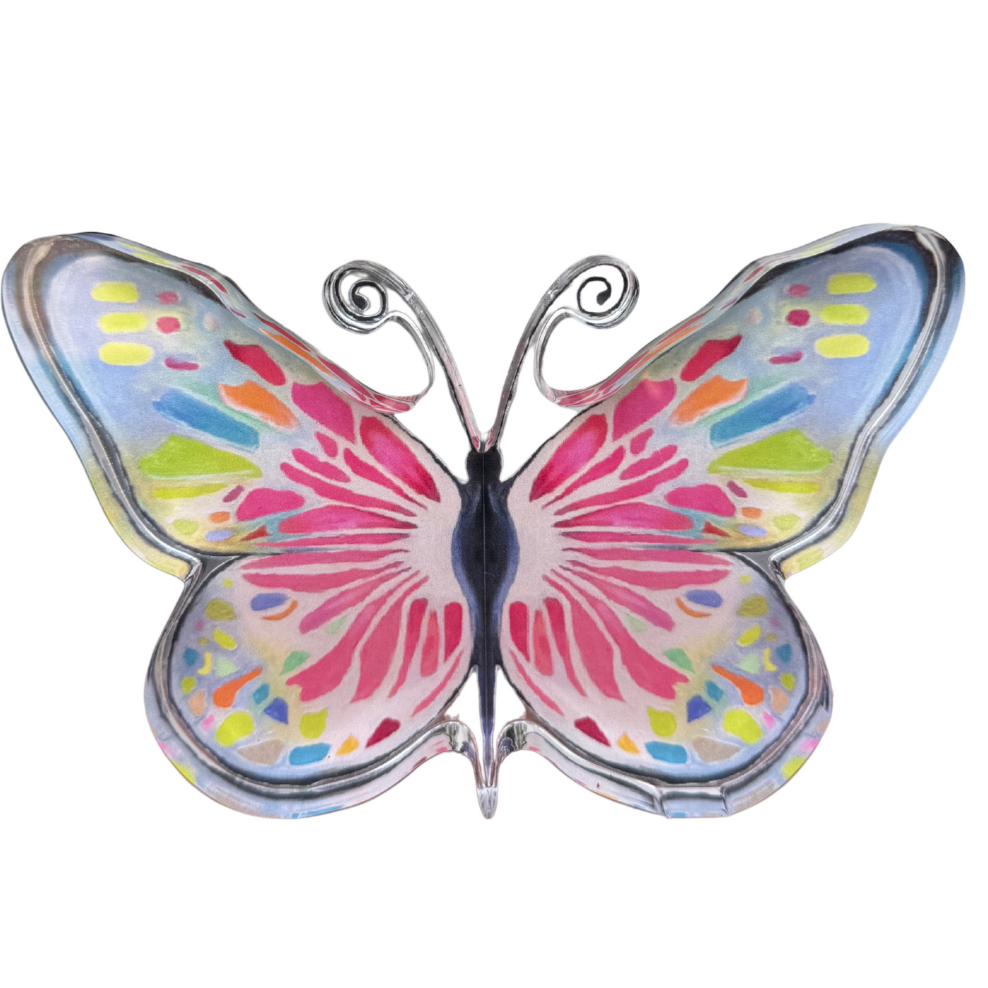 Pre Order “Lover of Color Butterfly” Acrylic Shelfie