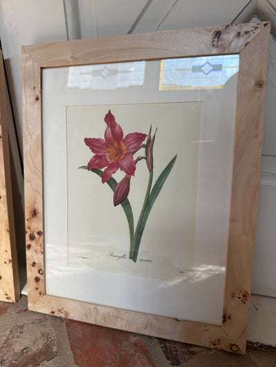 Set of 3 Vintage Burl Wood Framed Botanicals II
