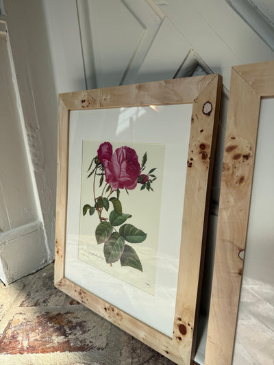 Set of 3 Vintage Burl Wood Framed Botanicals II