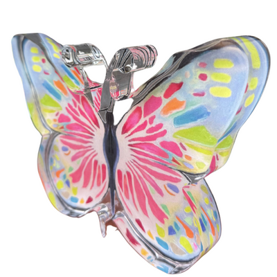 Pre Order “Lover of Color Butterfly” Acrylic Shelfie