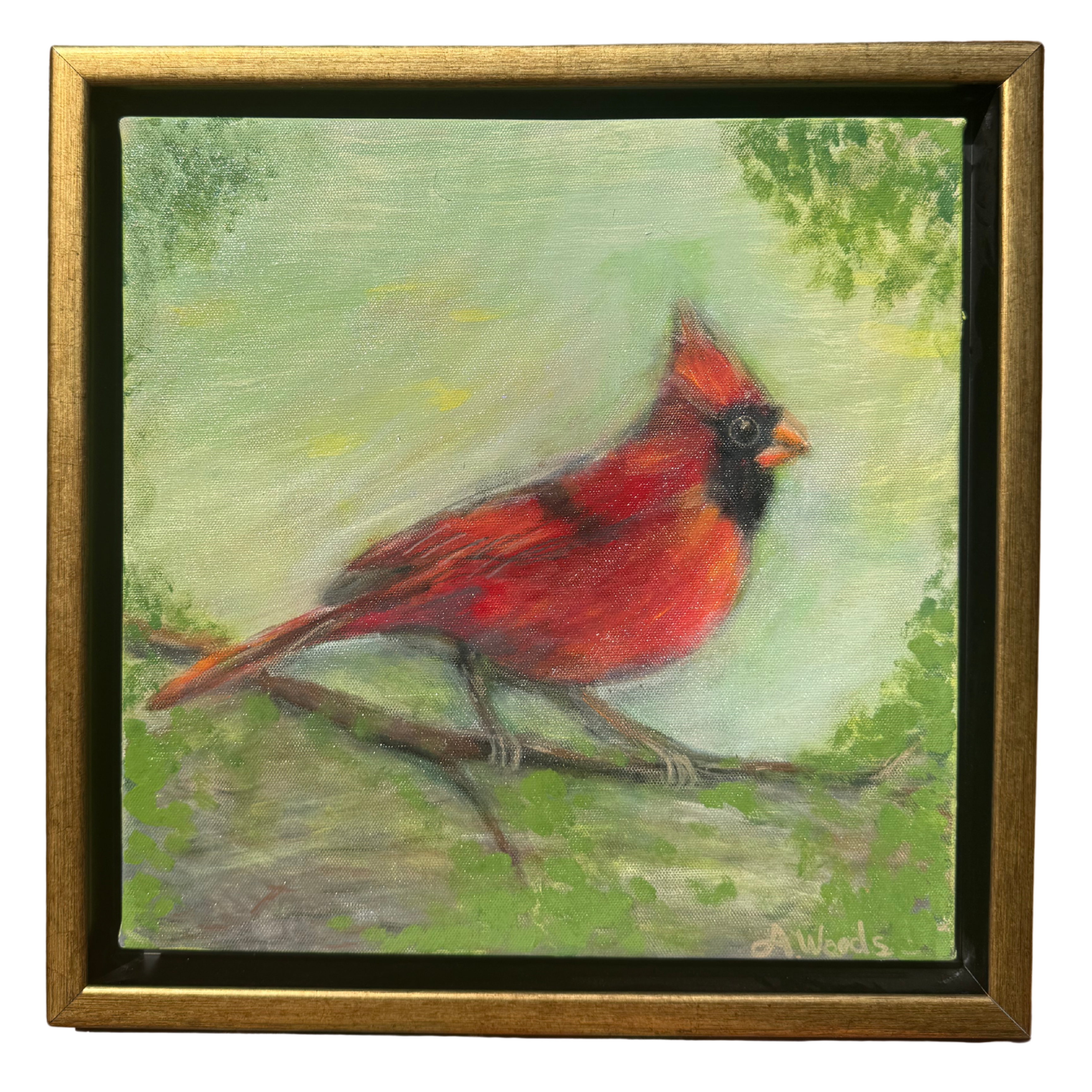 The Original “I Could Use a Red Bird Right Now”