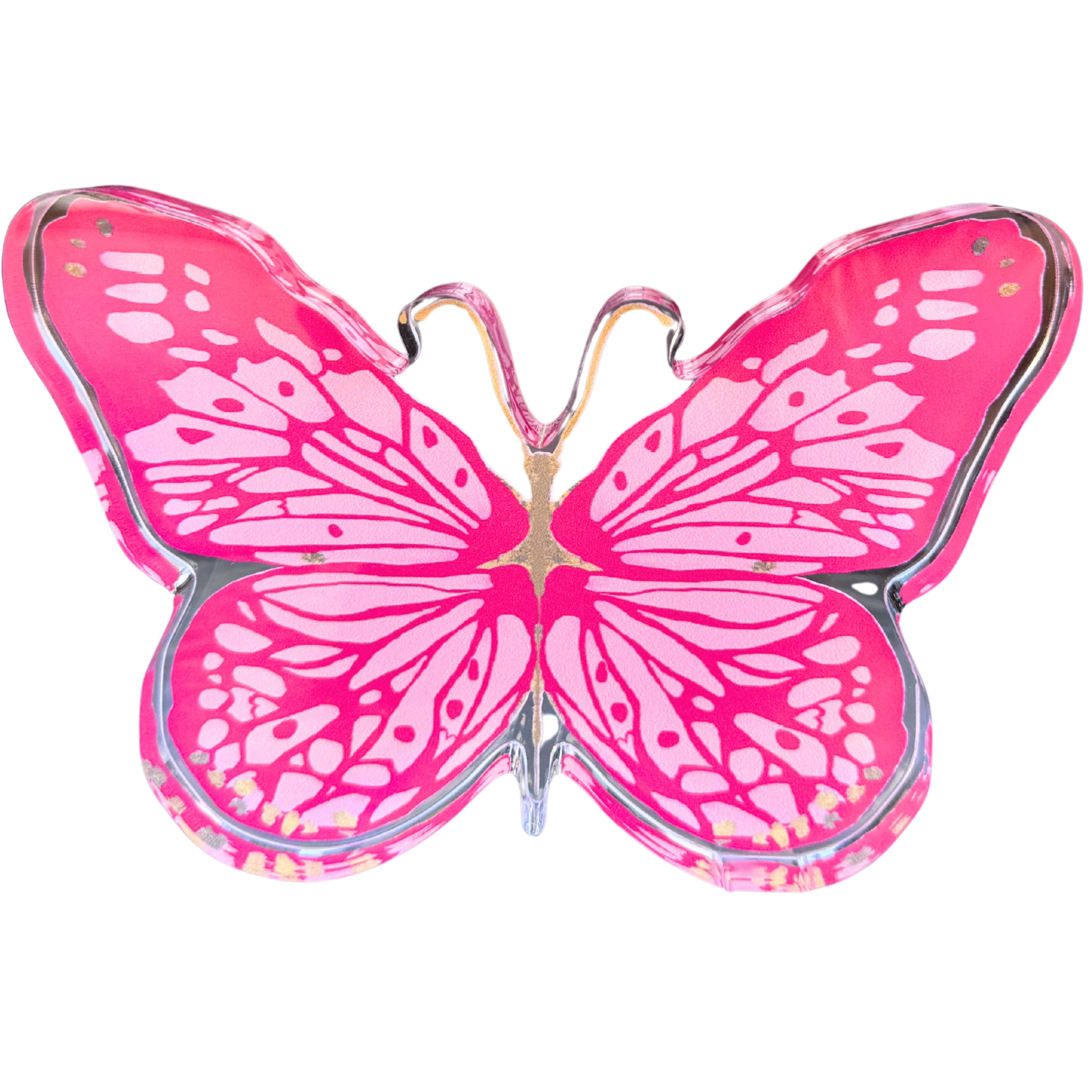 “Hot Pink Butterfly” Acrylic Shelfie
