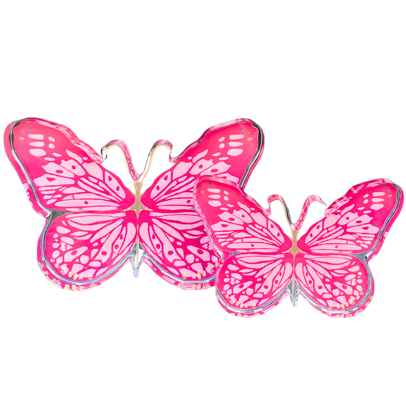Pre Order “Hot Pink Butterfly” Acrylic Shelfie