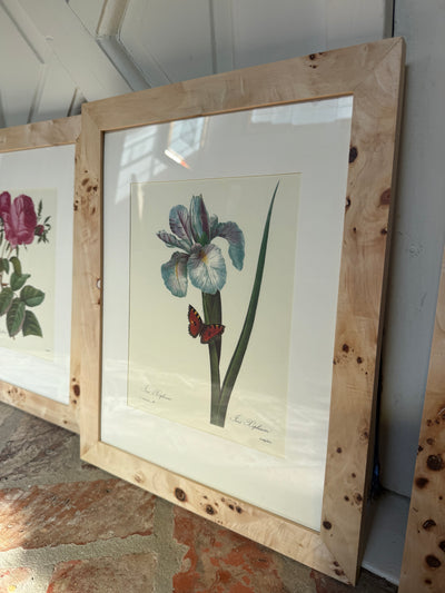 Set of 3 Vintage Burl Wood Framed Botanicals II