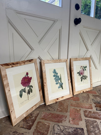 Set of 3 Vintage Burl Wood Framed Botanicals I