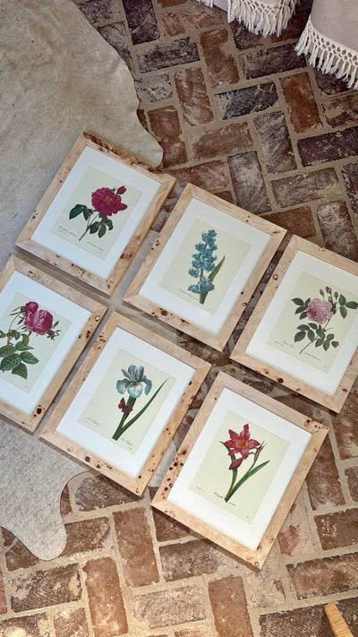 Set of 3 Vintage Burl Wood Framed Botanicals I