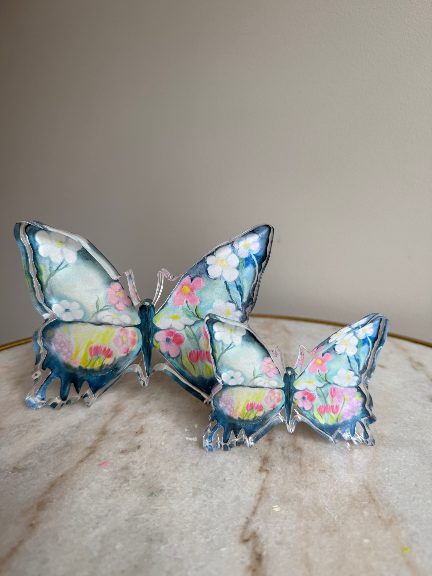 Seconds Sale “Daisy Butterfly” Acrylic Shelfie