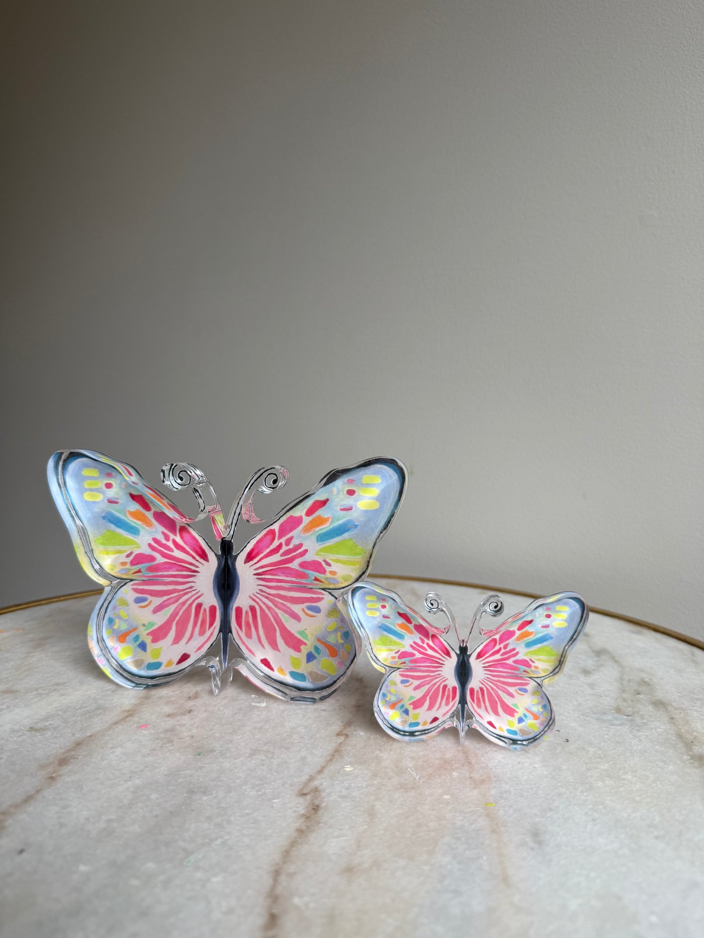 Seconds Sale “Lover of Color Butterfly” Acrylic Shelfie