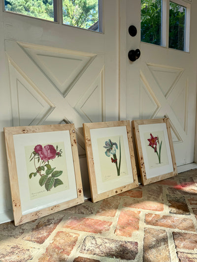 Set of 3 Vintage Burl Wood Framed Botanicals II