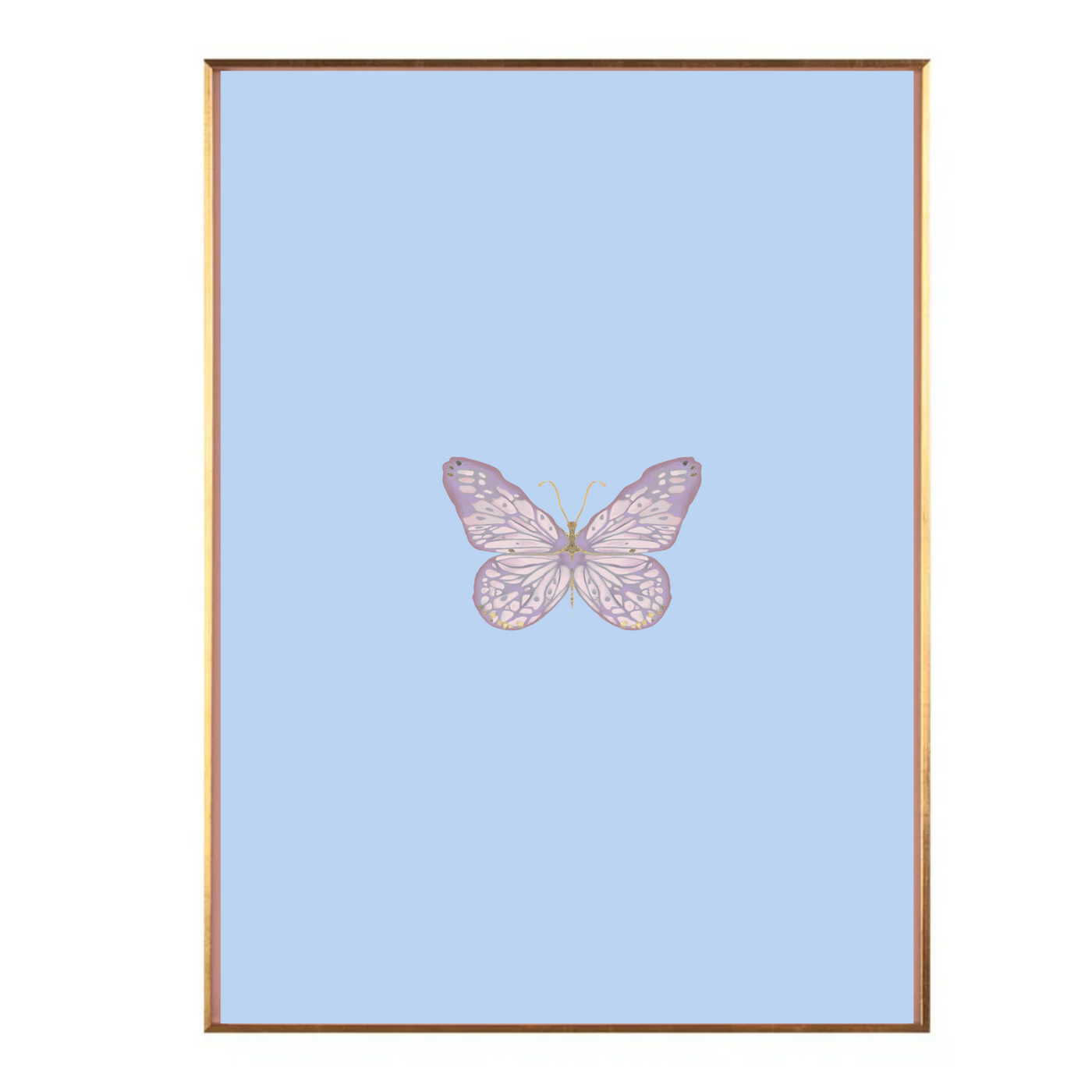 Powder Blue Color Block Butterfly