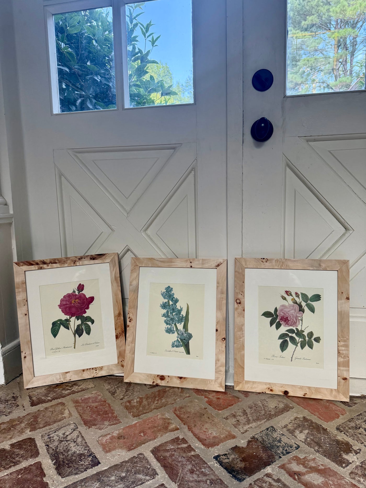 Set of 3 Vintage Burl Wood Framed Botanicals I
