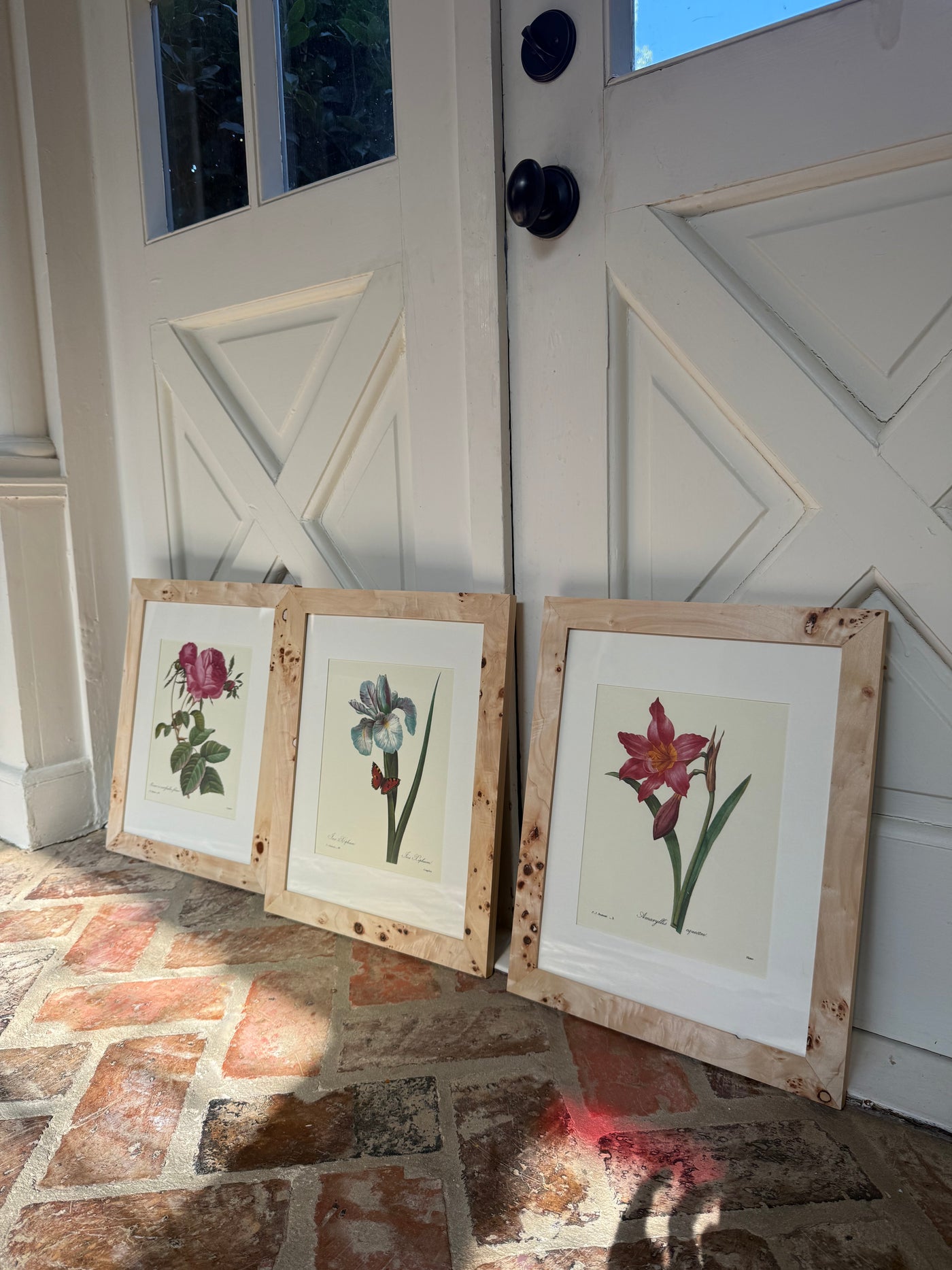 Set of 3 Vintage Burl Wood Framed Botanicals II