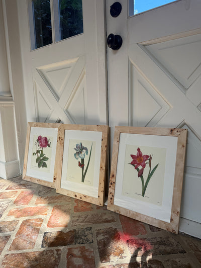 Set of 3 Vintage Burl Wood Framed Botanicals II