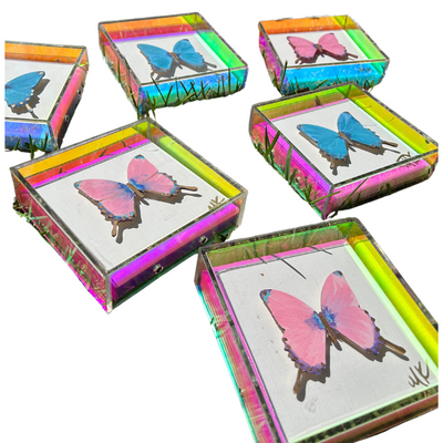 6x6 Rainbow ACRYLIC Blue Butterfly