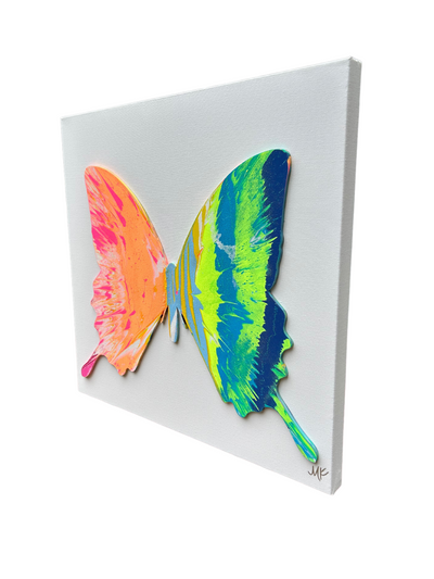 FLASH SALE 24x24 Color Delight Butterfly