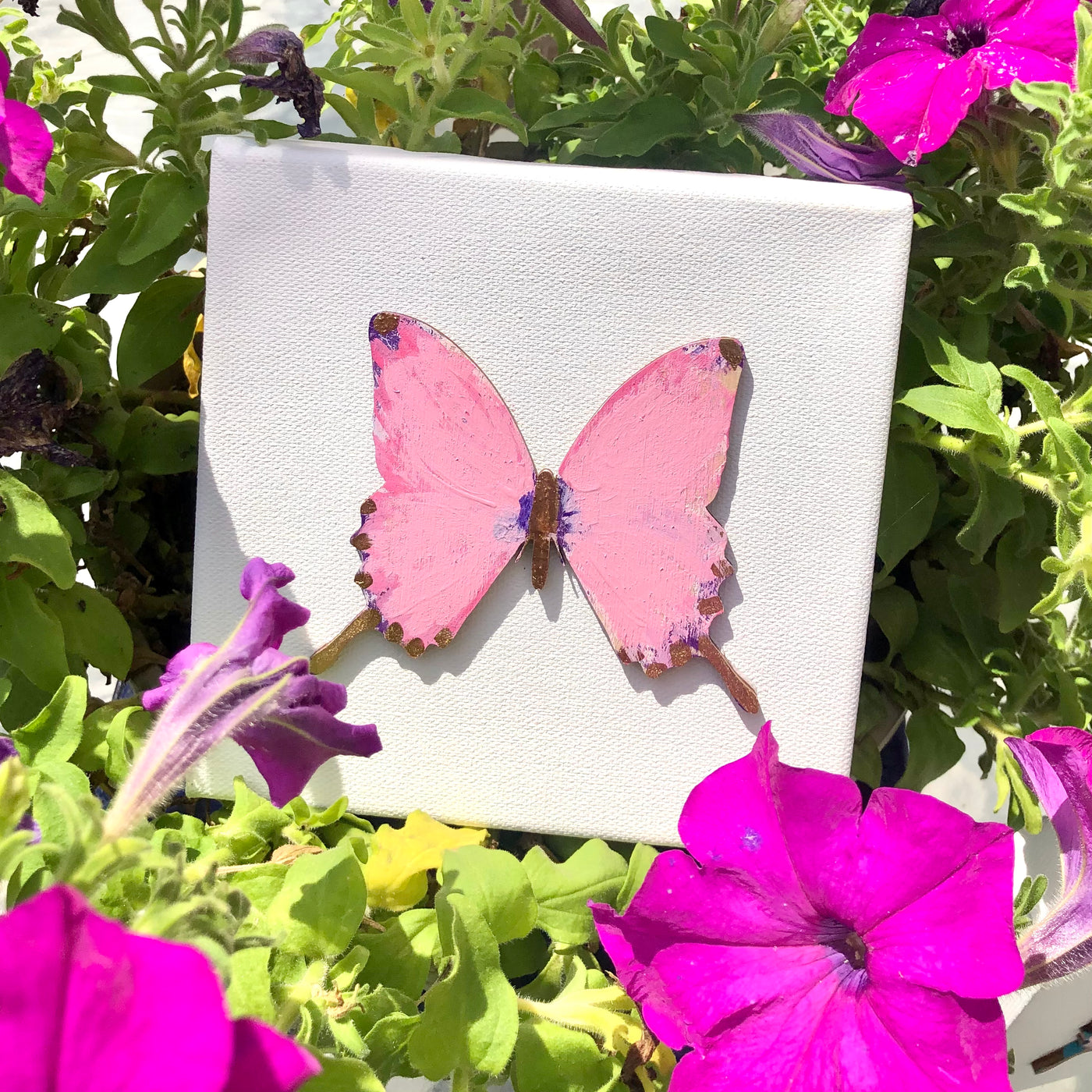 6x6 Pink Hand Painted Butterfly