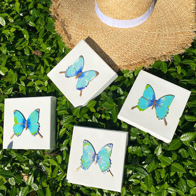 6x6 Blue Hand Painted Butterfly